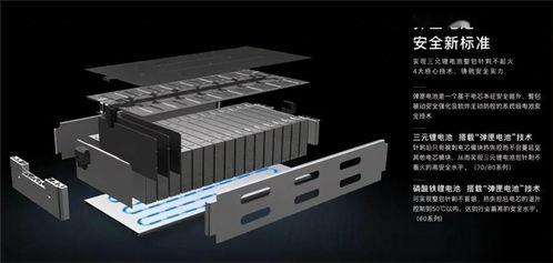 娱乐吃瓜君和二豆,揭秘娱乐圈背后的那些事儿