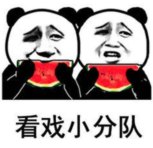 发吃瓜表情包怎么回复,揭秘热门表情包背后的趣味与智慧