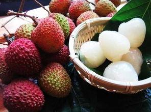 荔枝娱乐圈吃瓜爆料,荔枝吃瓜爆料，明星幕后故事大曝光