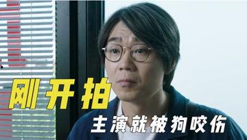 娱乐吐槽吃瓜君