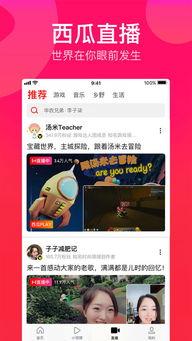 娱乐爆笑吃瓜视频合集,笑出腹肌的欢乐时光